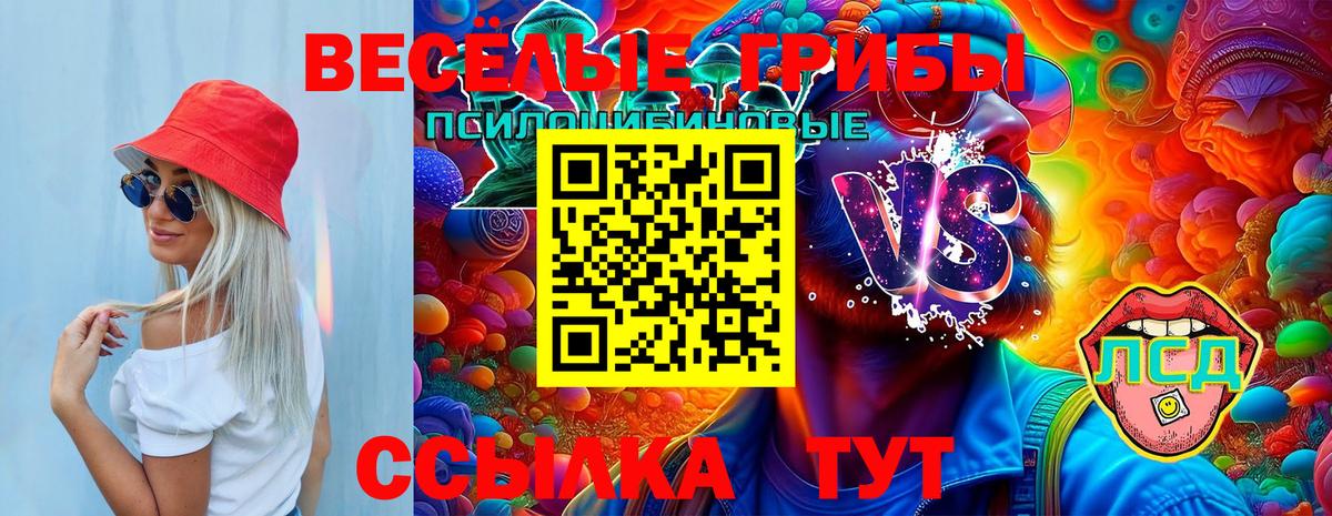 Псилоцибиновые грибы прущие грибы  Псилоцибиновые грибы Magic Shrooms  Вход с VPN  Ярославль 
